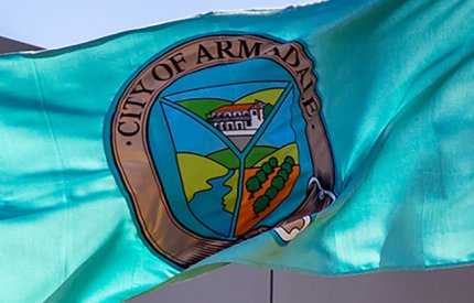 Council flag